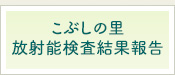 Ԃ̗ ˔\ʕ