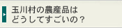 玉川村の農産品はどうしてすごいの？
